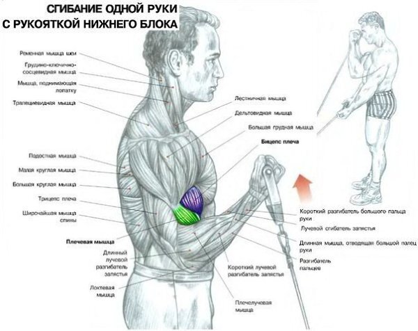 А вот это уже изоляция