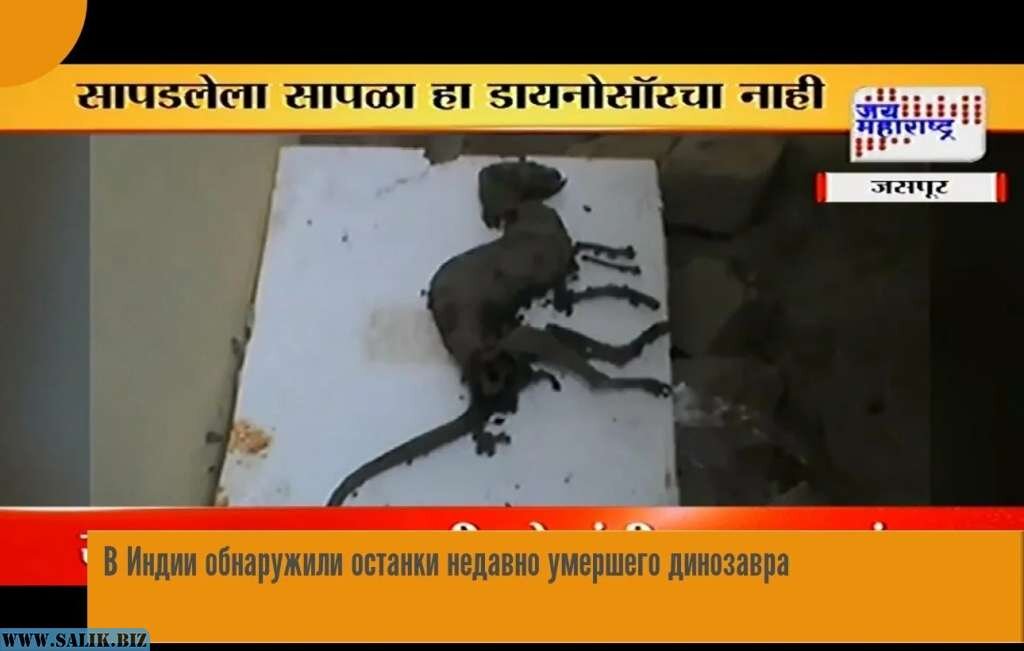 Источник www.salik.biz