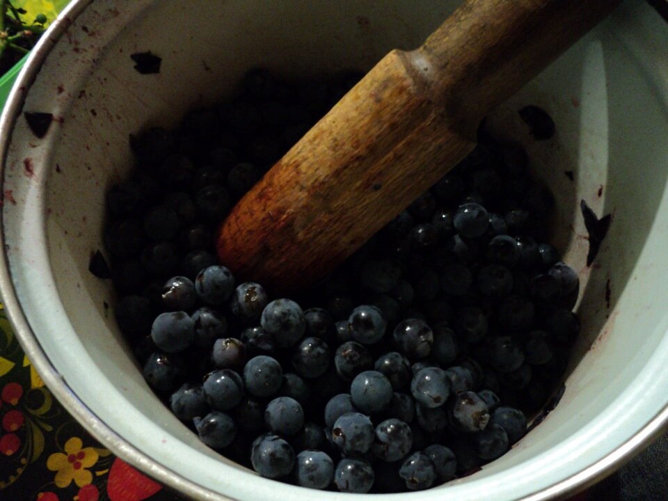 Ягоды забродили. Мезга виноградная. Домашнее вино. Мезга винограда. Брожение виноградного сусла.