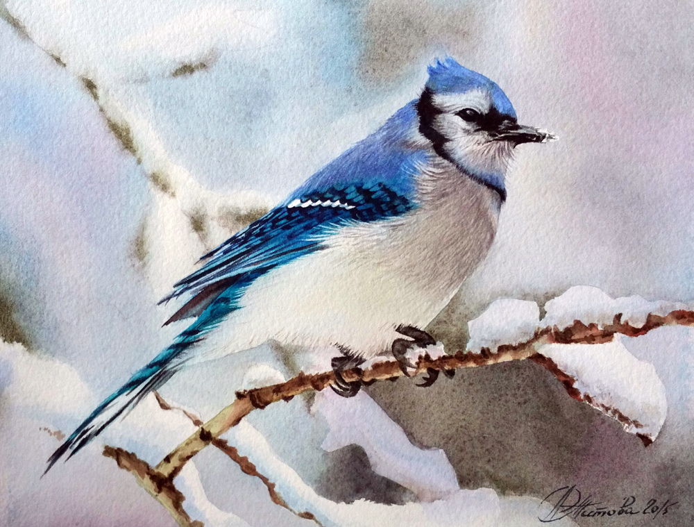 В этот день чествовали сойку — небольшую птицу с ярким оперением, широким хохолком на голове и длинным хвостом. 