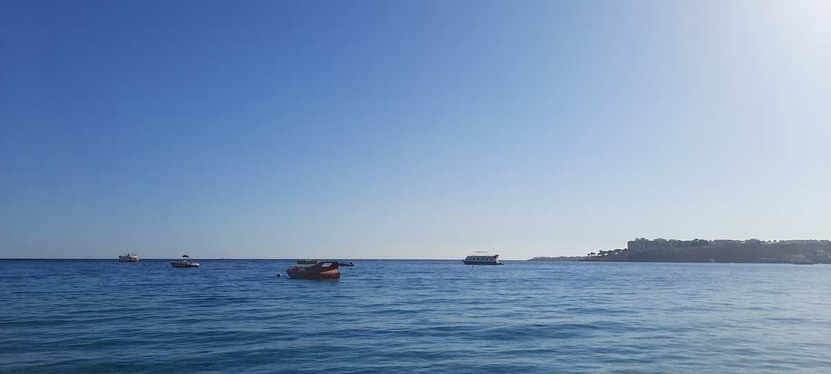 Красное море в декабре - это круто