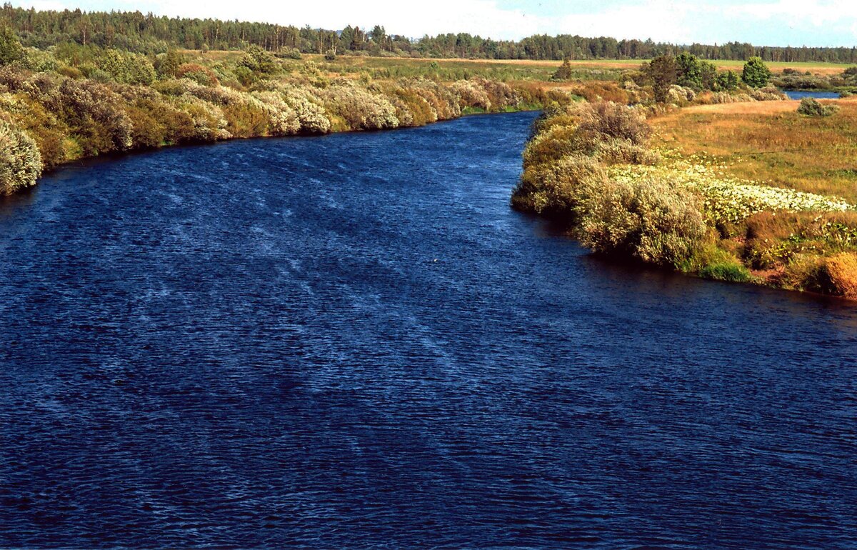 Вижу синюю реку. Река Великая. У Великой реки картинки. Истории голубой речки. Река Великая и псовское озеро.