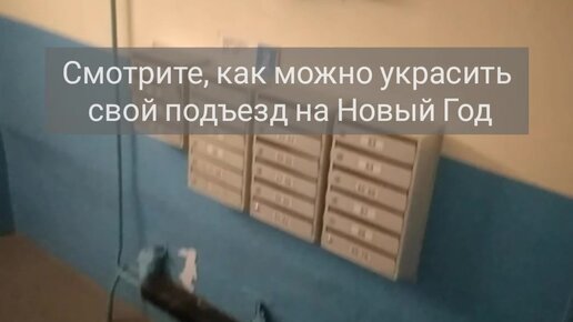 Нарядная парадная: новоуренгойцы украсили свой подъезд к Новому году | «Красный Север»