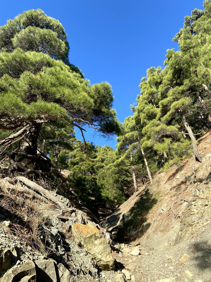 Начало мото-фрирайдерской тропы на берегу моря, Радом со скалой парус. Фото автора