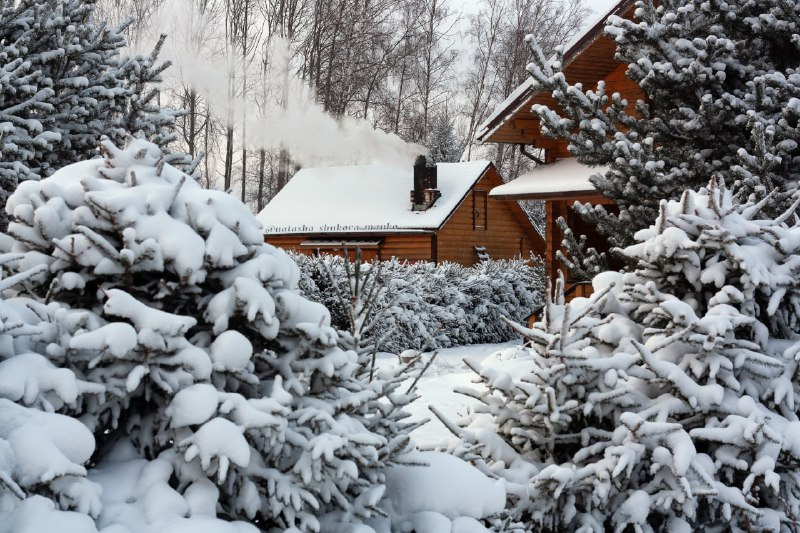 Прекрасный зимний день и тишина