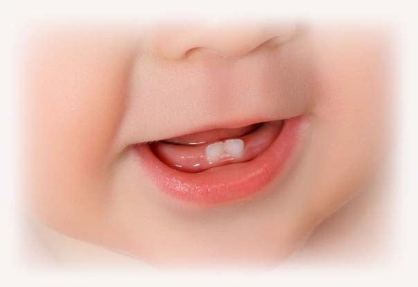 Взято из открытых источников интернета