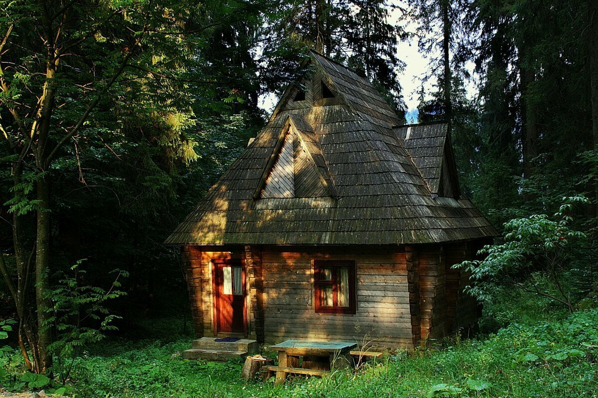 Кто жил в лесном домике. У сгнившей лесной избушки рубцов. Тайга хижина лесника. Друскининкай лес избушка. Хижина в лесу база отдыха екатеринбург.