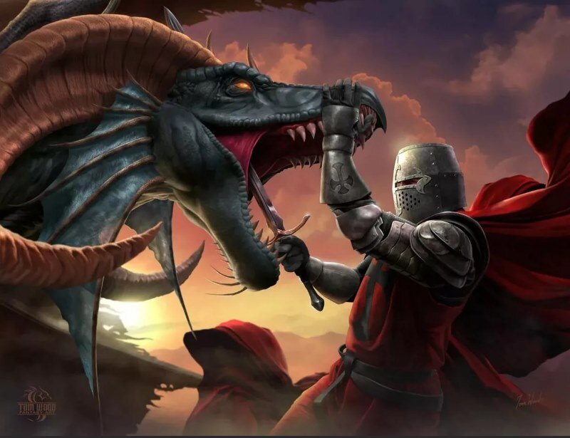 Дракон попался недружелюбный, молодой грубиян...