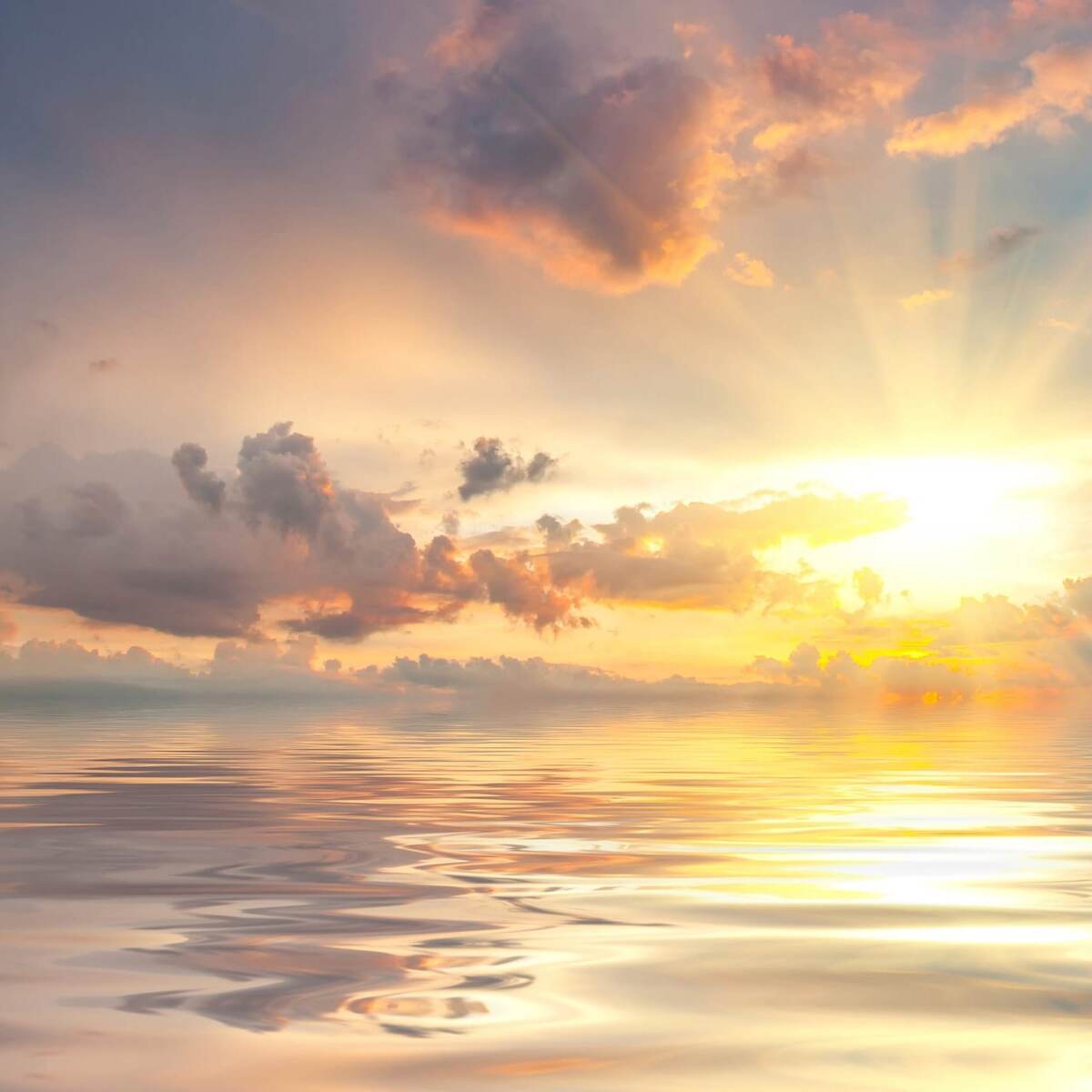 #мнение_психолога 🤔