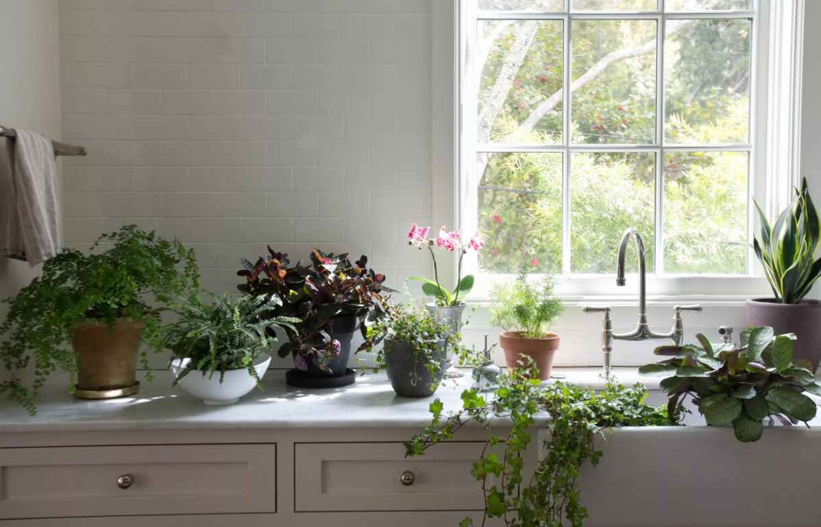 Фото было взято из открытого источника