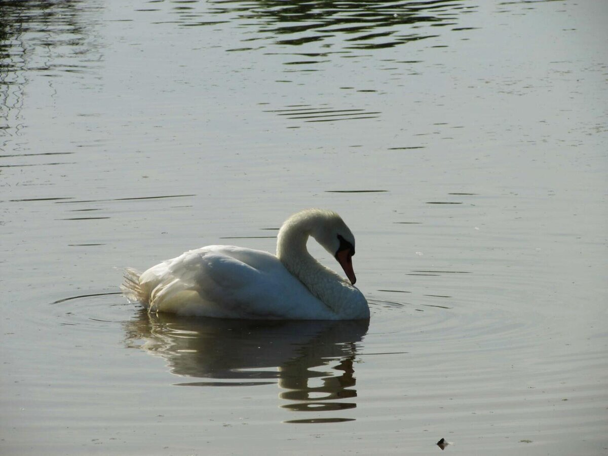 фото  Людмилы  Репниковой