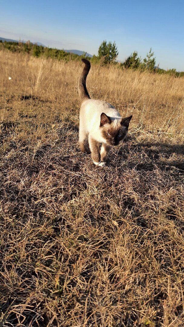 Твое лицо, когда потребовали какой то там код...