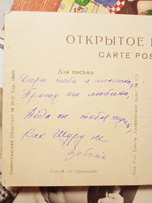 Как правильно написать открытку-послание | Нижегородская правда