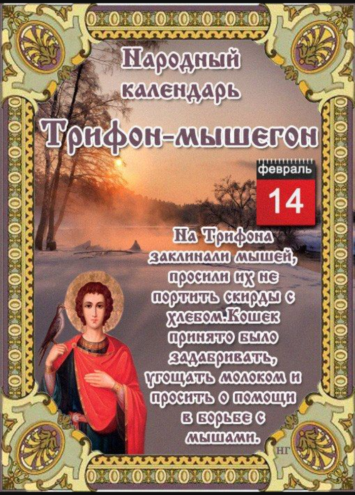 День святого трифона 14
