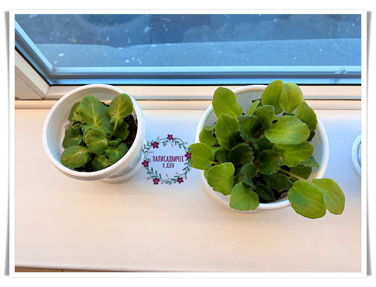 Пусть будут условно номерами 1 и 2. Номер 1 — слева, номер два — справа.