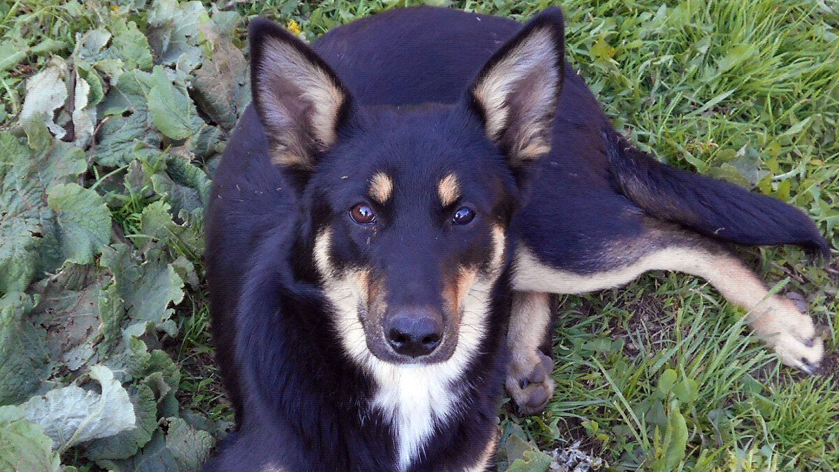 источник фото: funart.pro