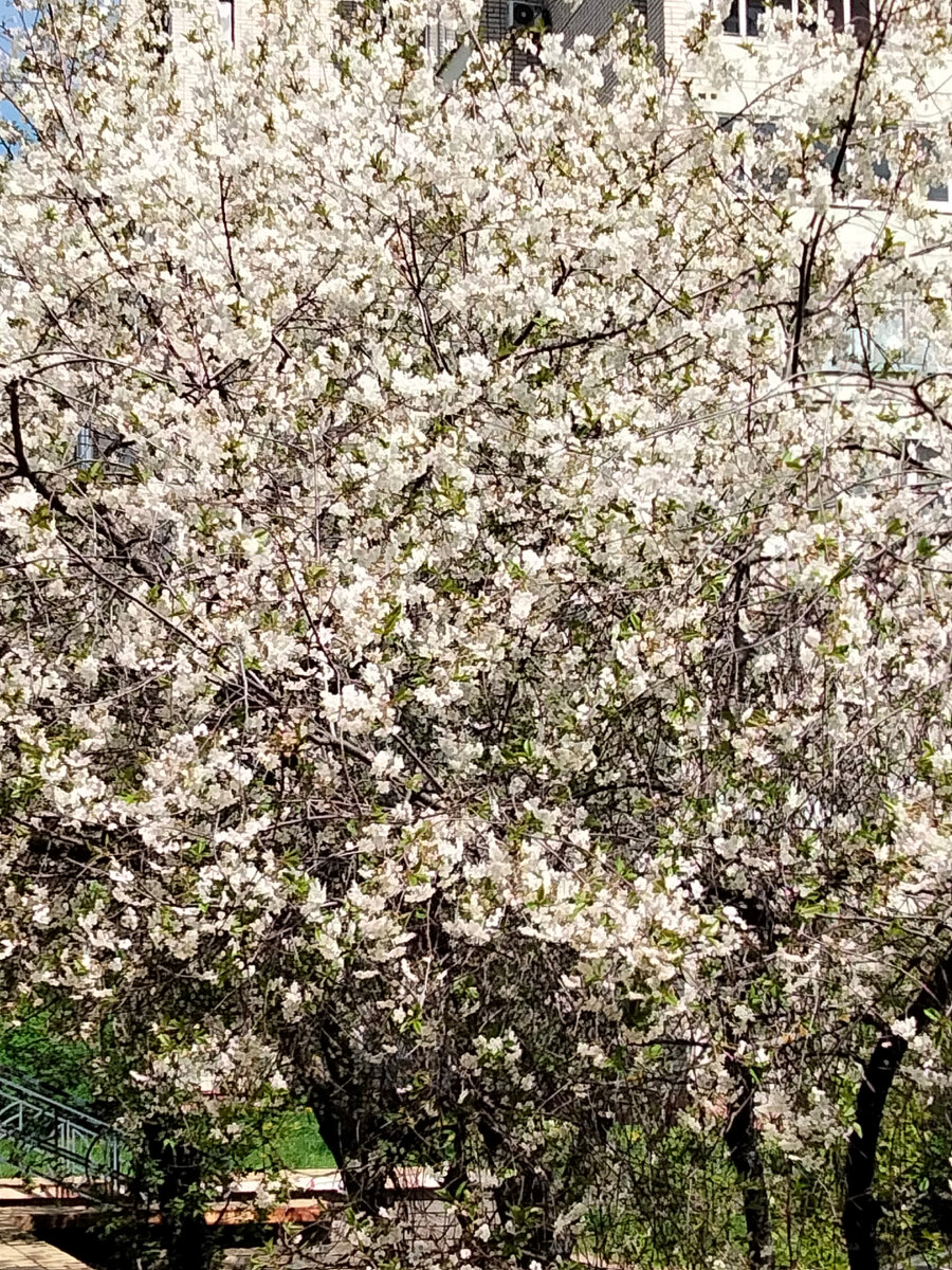 Красота неописуемая