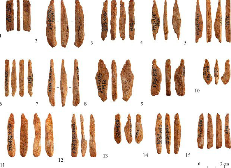  Фрагменты подвесок из человеческих костей, найденных в Карелии 