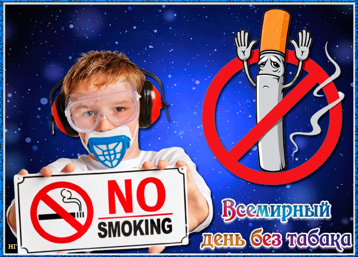 Праздник 31 мая 2024. Листовки на 31 мая. Всемирный день попугая 31 мая.