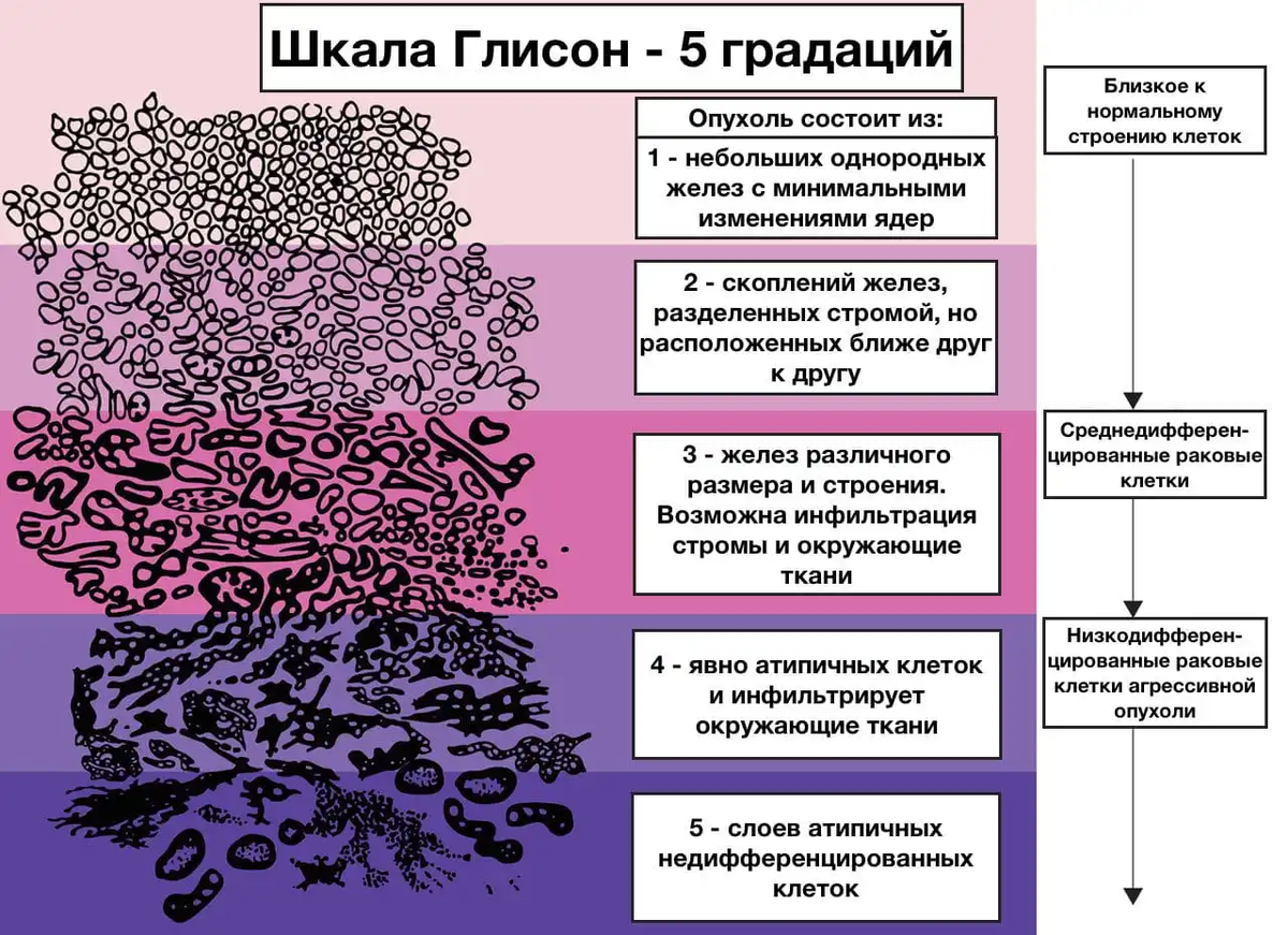 Вы точно человек?