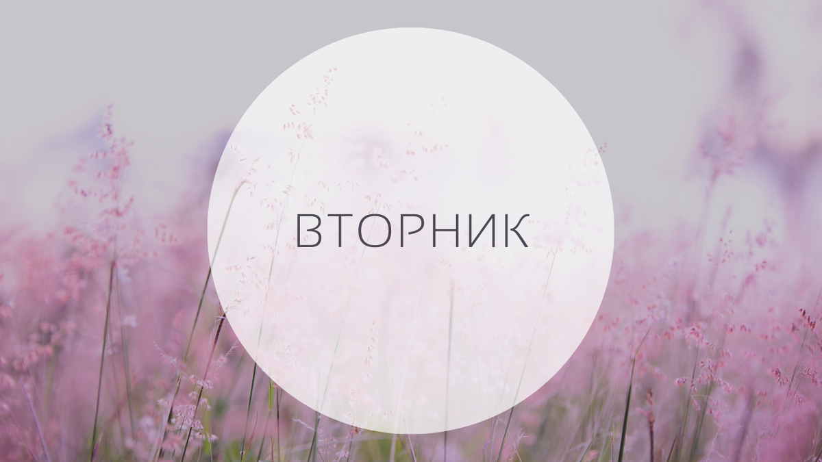 Гороскоп на 14 июня, вторник. 15-й лунный день, Луна в Стрельце.