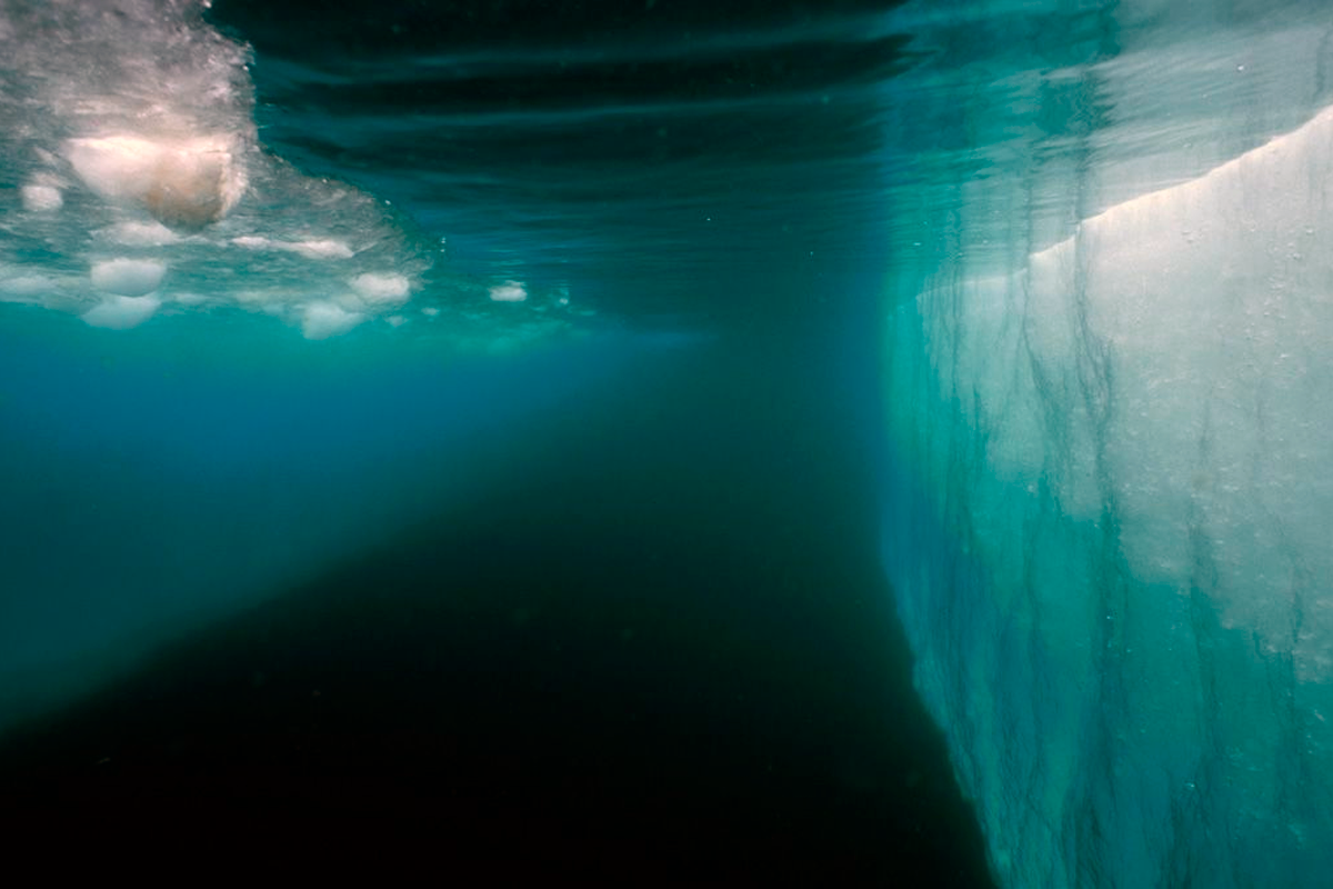 Ели под водой. Подо льдом. Вода подо льдом. Океан подо льдом. Море подо льдом.