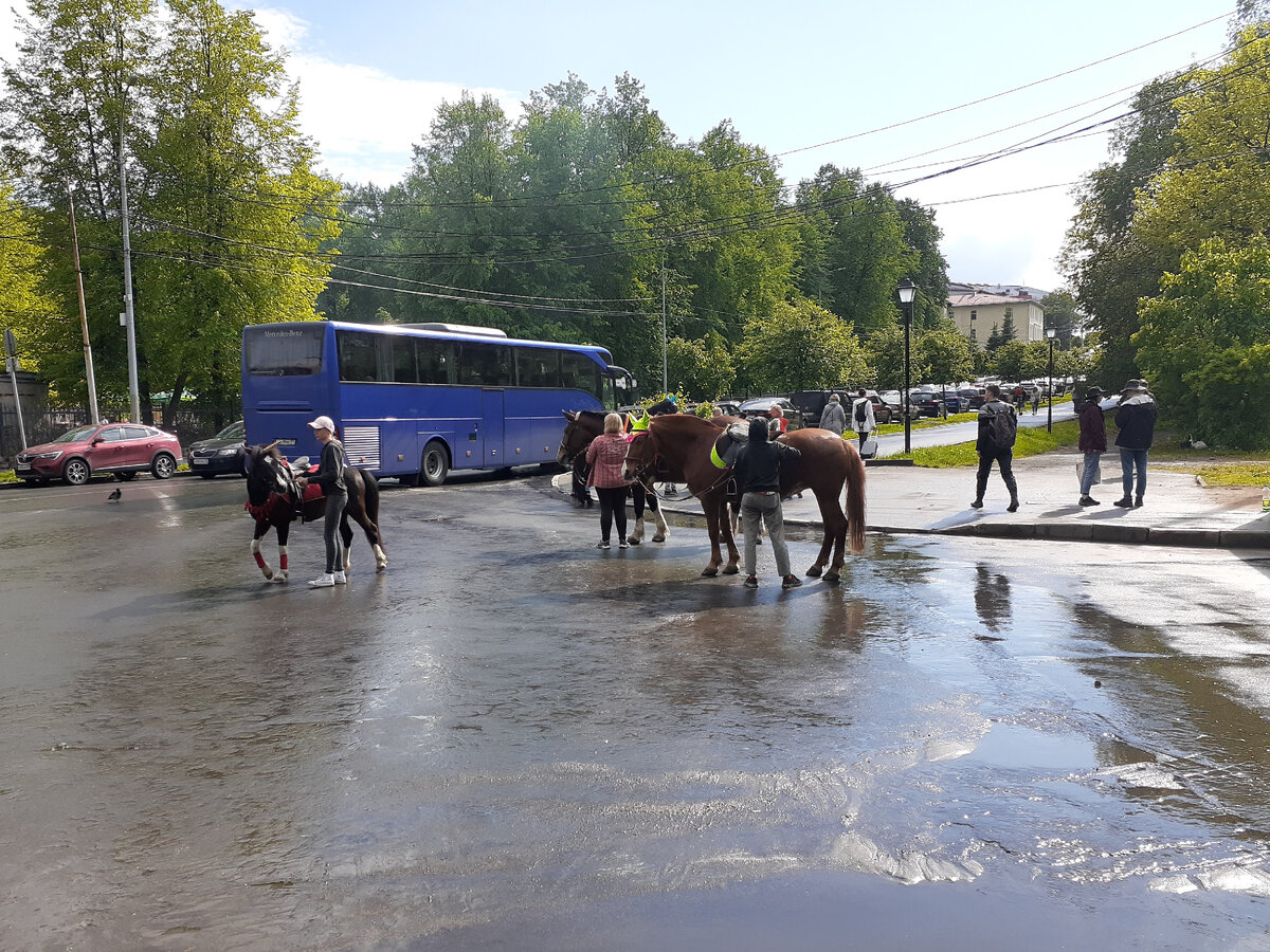 В Карелию на 4 дня. Возвращение в Петрозаводск | Живой мир вокруг меня |  Дзен