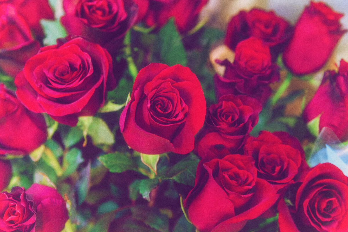 Иллюстрация freepik.com обработана в фотошопе