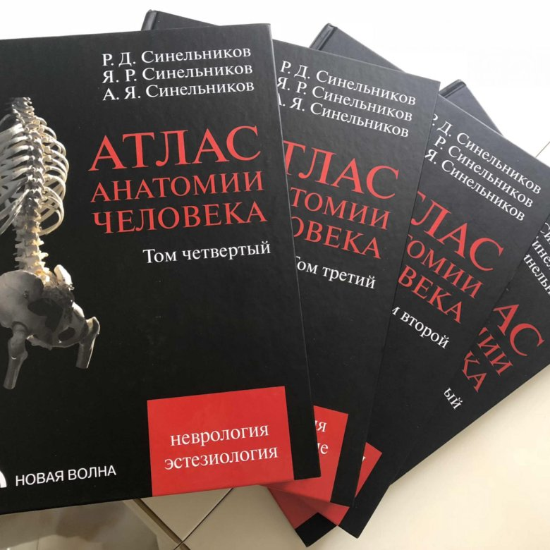 Атлас анатомии человека р.д Синельникова в 4 томах. Атлас анатомии человека Синельников 1 том. Синельников 4 том. Атлас анатомии человека Синельников том 4.