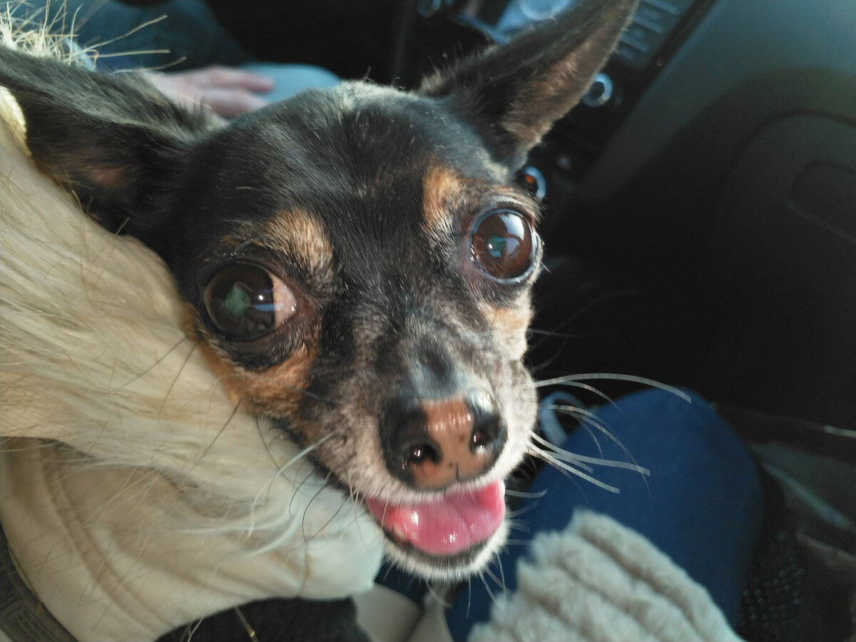 это моя ЕВА......