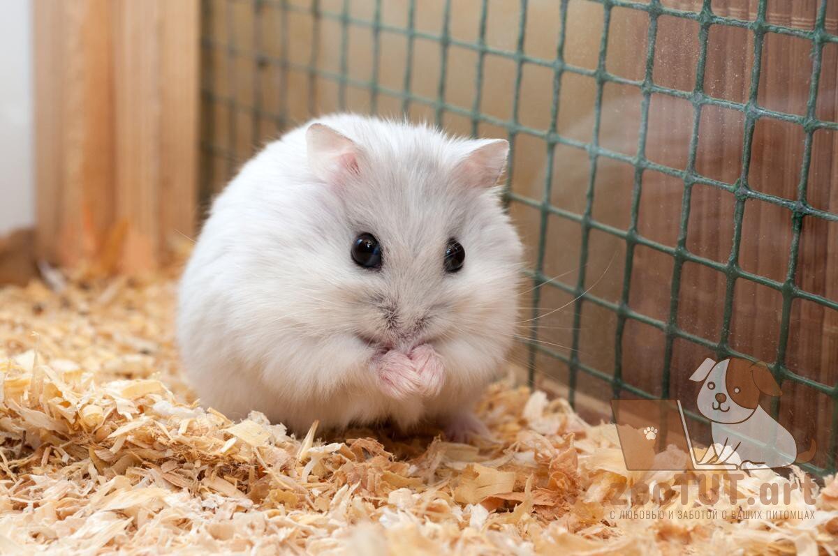 Травмы и несчастные случаи