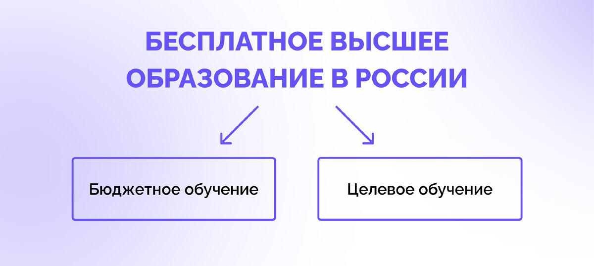 Высшее образование бюджет. Высшее образование бюджет