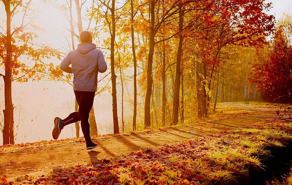 Источник фото: noltrexsin.ru