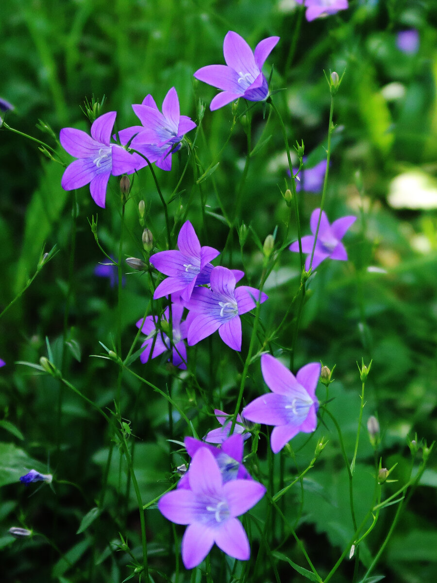 Фото Наталии ТРОФИМОВОЙ.