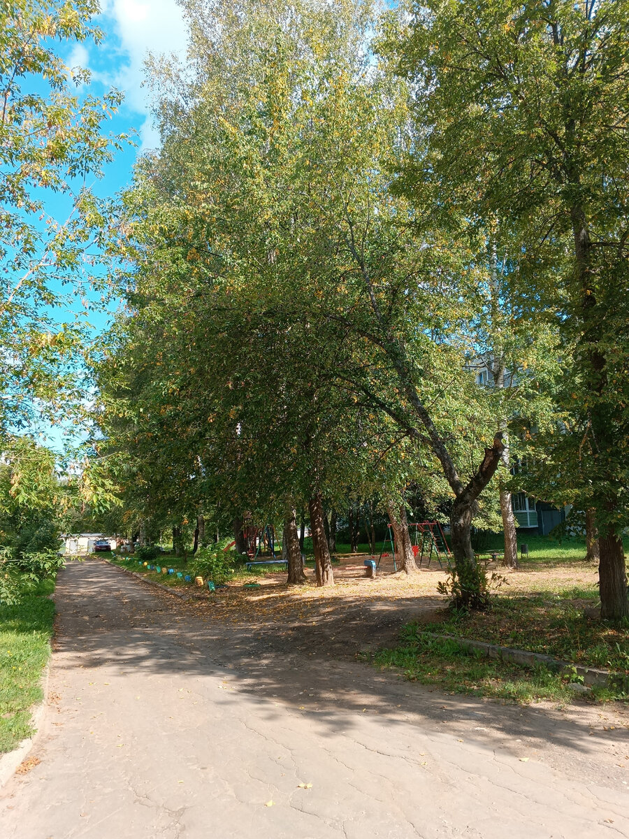 Фото автора.
