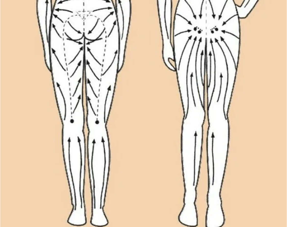 Массажные линии для вакуумного. Массаж тела Гуаша схема антицеллюлитный. Массажные линии тела лимфа. Лимфатическая система массажные линии. Схема проведения лимфодренажного массажа.