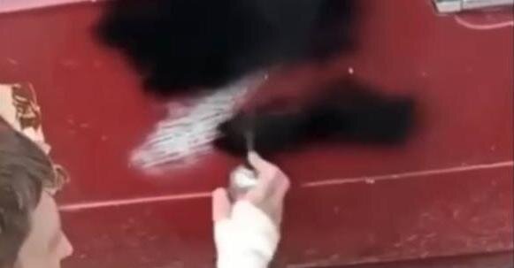 "Стоп-кадр из видеоролика, опубликованного в Telegram-канале "VOBLYA"