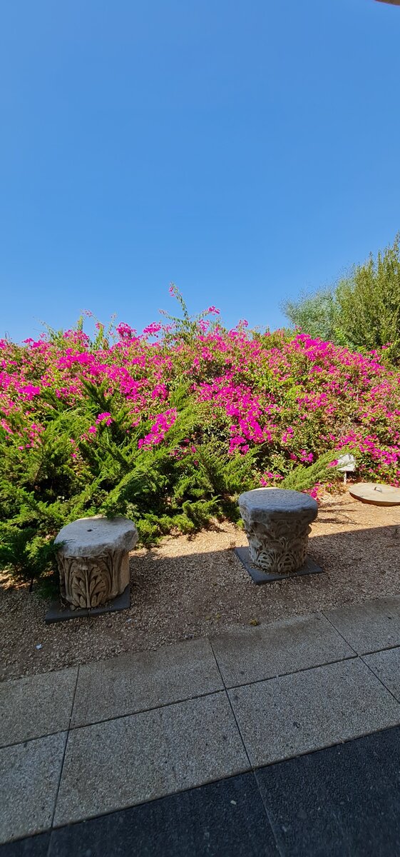 Немножко красоты, и солнышка Вам.