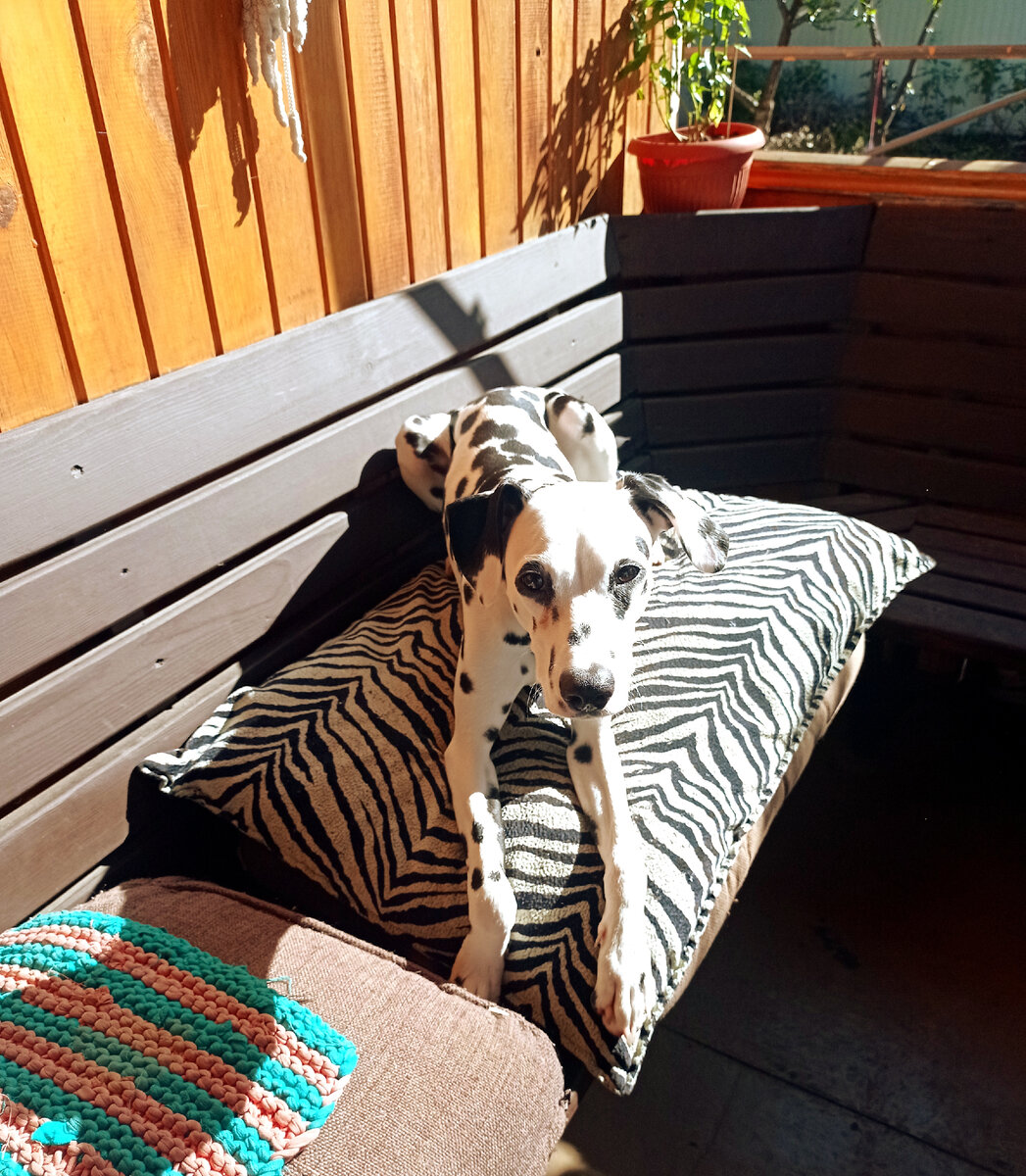 На мягеньком лучше загорать