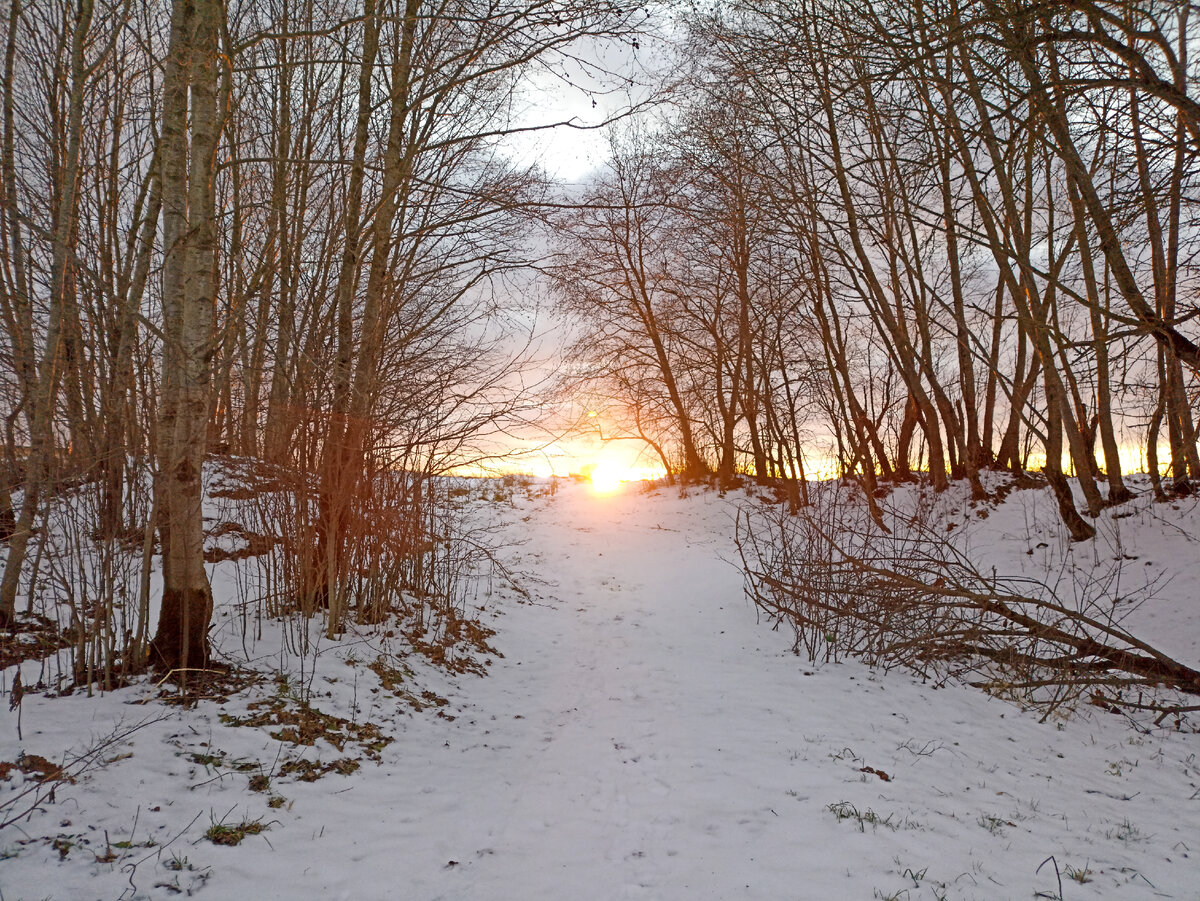 Зимний утренний рассвет