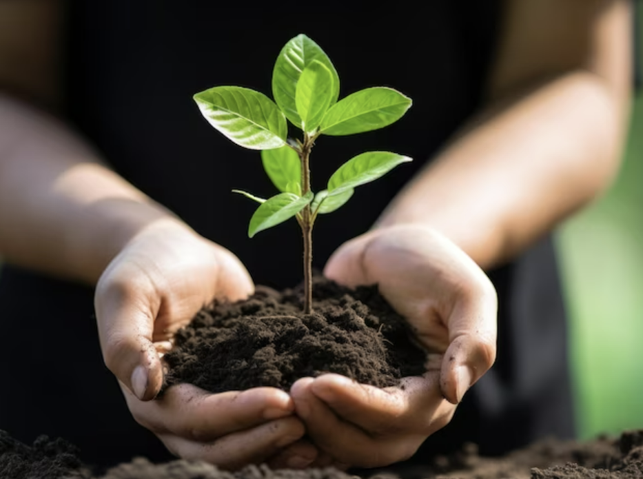 Изображение от R-Studio на Freepik