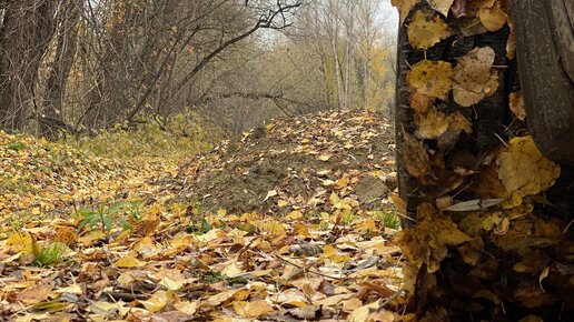 Эко-тропа Каскад водопадов на реке Шинок. Доступная, но с особенностями. Ласковый мираж - первая точка на маршруте