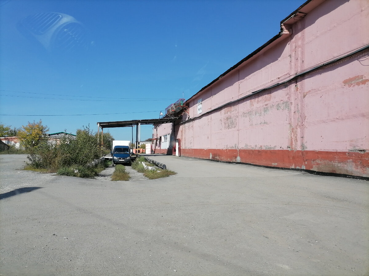 База. Они, наверное, всюду одинаковые....