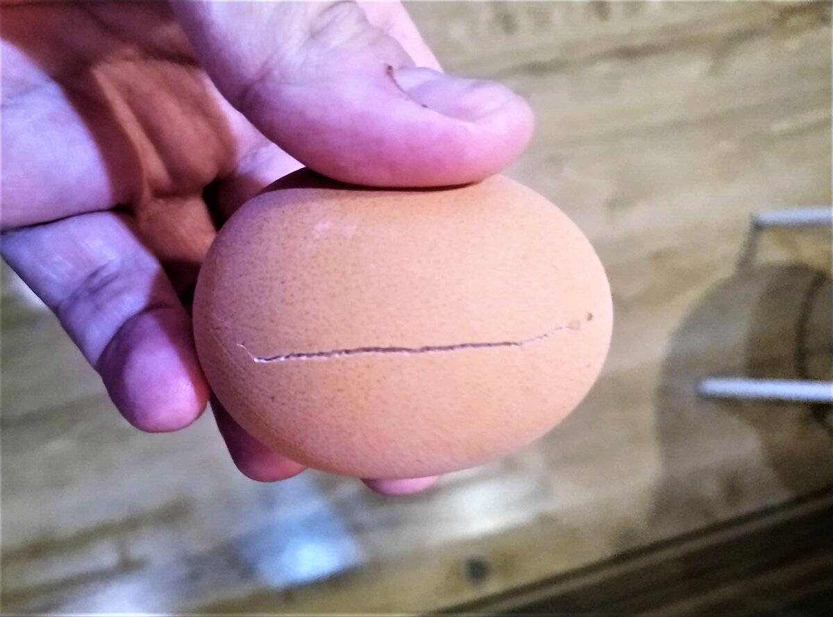 Треснутое замороженное яйцо.