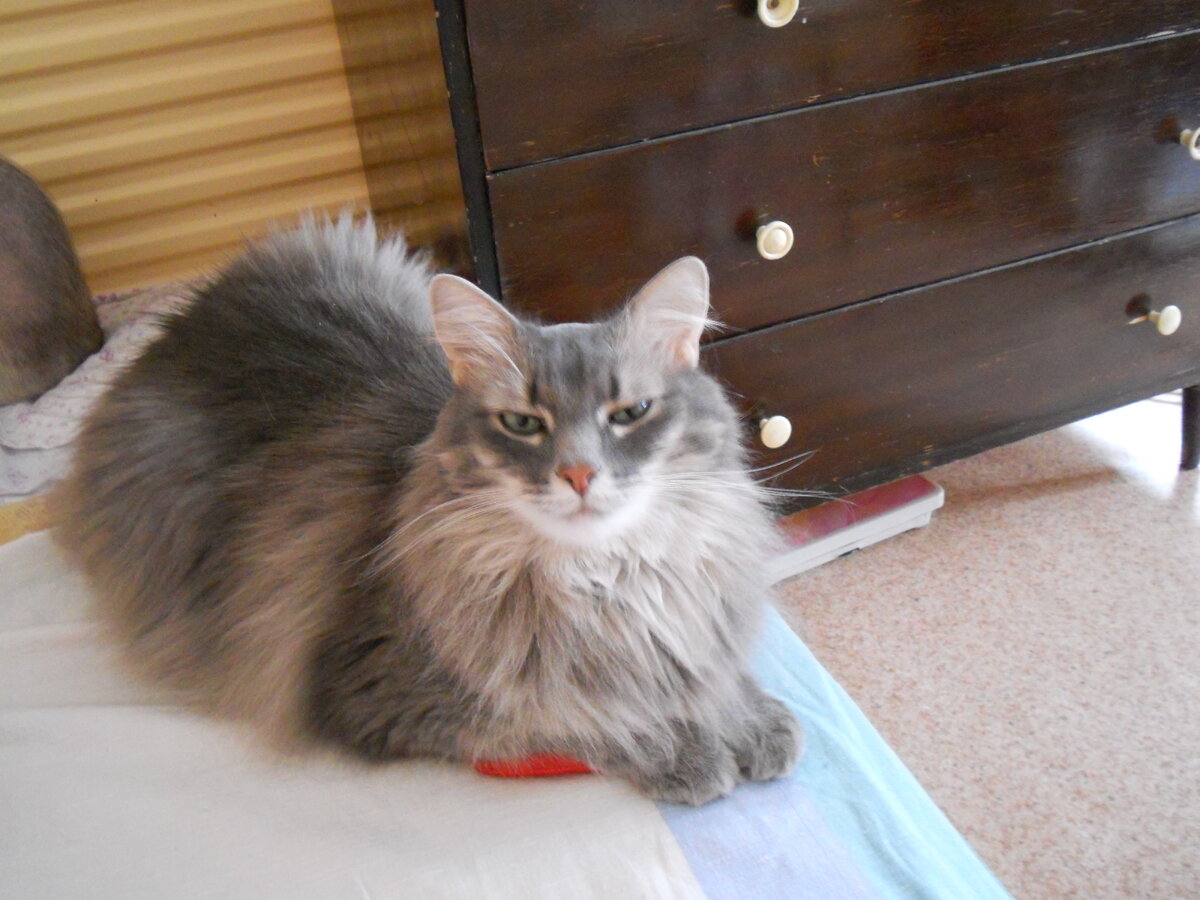 Готова похулиганить!