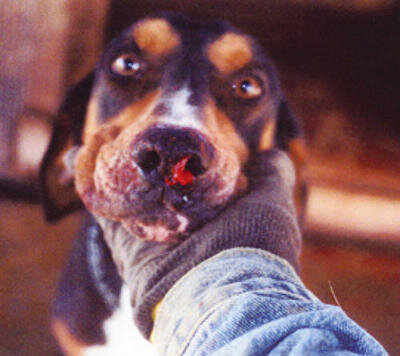 Остановка кровотечения снаружи