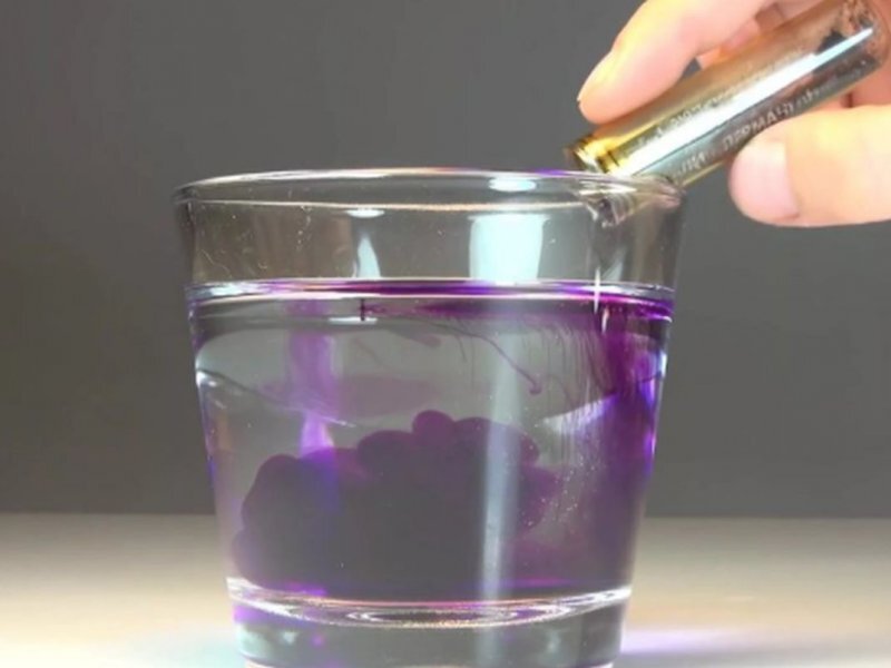 Фотография была взята с сайта Google