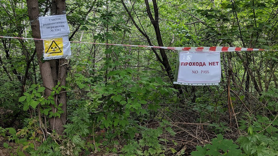 На месте могильника радиоактивных отходов. Фото: Коммерсантъ