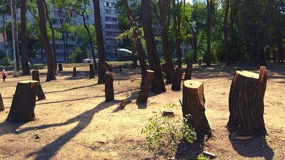            Вот что бывает с "зелеными" двориками после рейдов с бензопилами