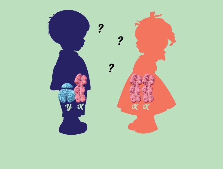 пол ребенка. беременная фотосессия. пол ребенка.